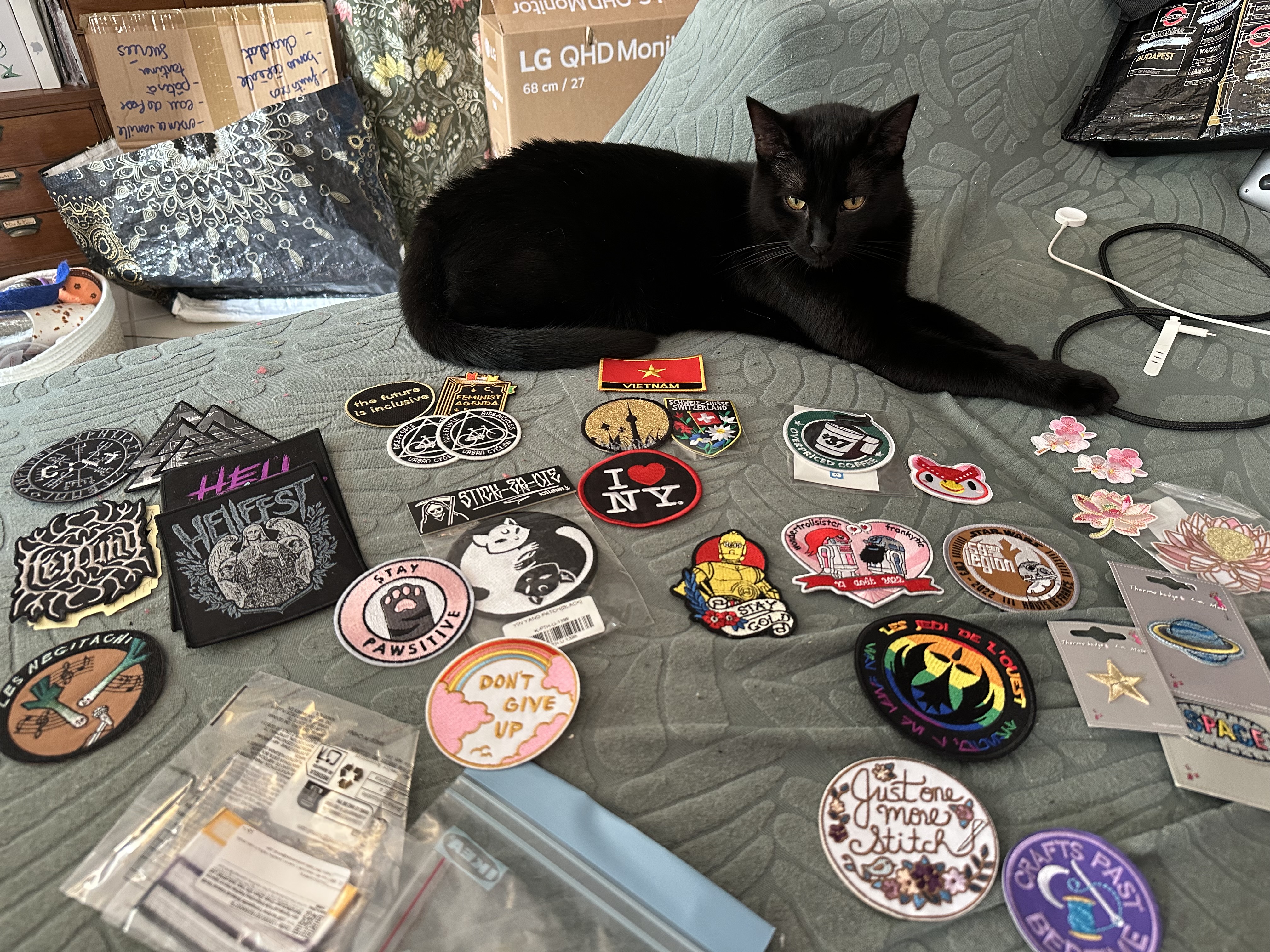 Photo de nombreux patches en tissu étalés sur le canapé, et surveillés par une chatte noire placide.