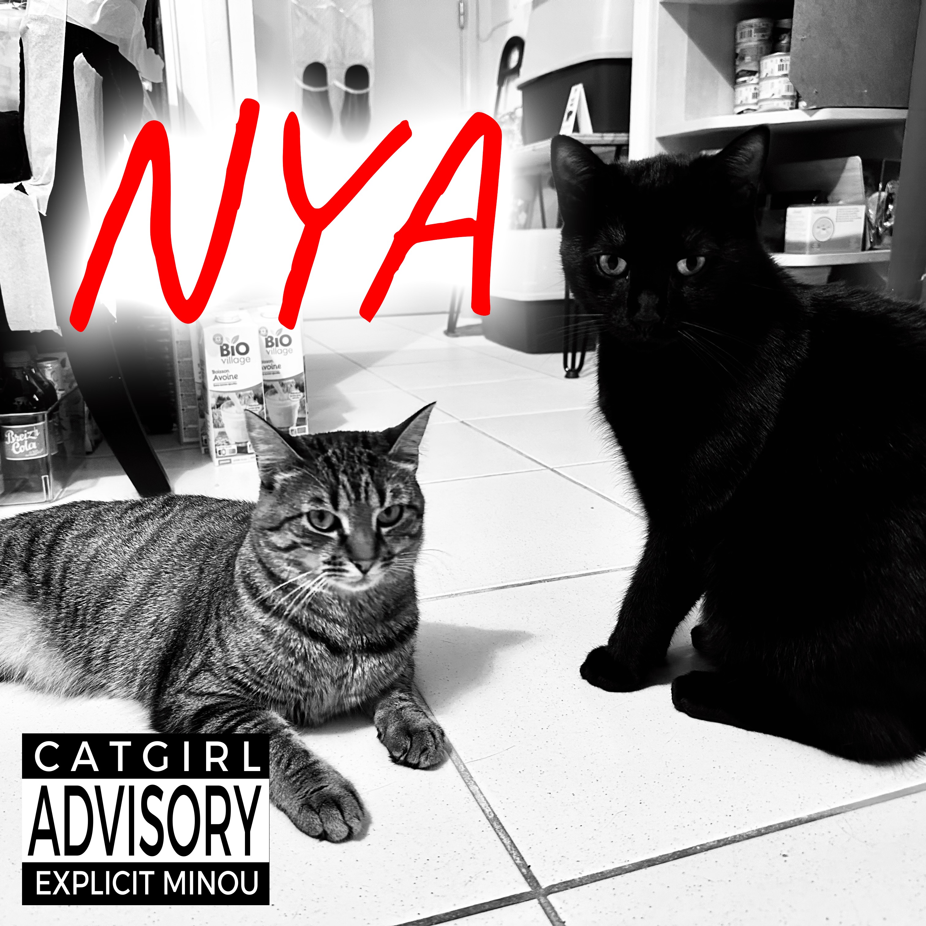 La même photo, mais arrangée comme une pochette d'album d'un groupe NYA (pour rappeler N.W.A.) en noir et blanc, avec un sticker maison qui dit "catgirl advisory, explicit minou"